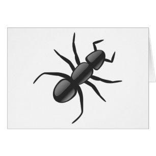 Ant