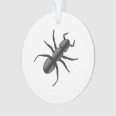 Ant (devant)