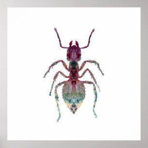 Ant Art Poster