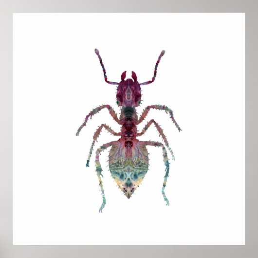 Ant Art Poster (Voorkant)