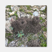 Ant Castle Magneet (Voorkant)