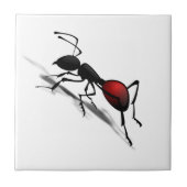 Ant Ceramic Tegel Cadeft Tegeltje (Voorkant)