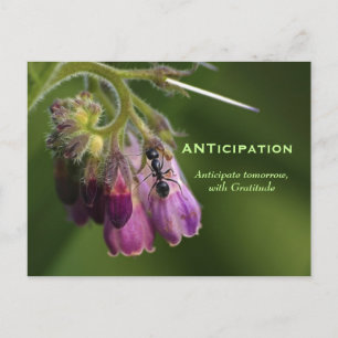 Ant & Flower Dankbaarheid Motivatie Briefkaarten