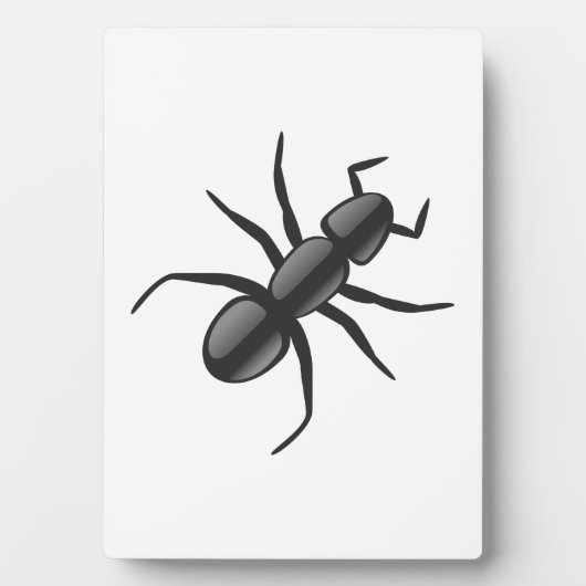 Ant Fotoplaat (voorkant)