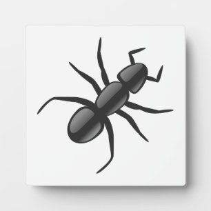 Ant Fotoplaat
