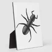 Ant Fotoplaat (Zijkant)