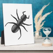 Ant Fotoplaat (Zijkant)
