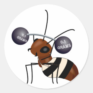Ant lifting ronde sticker