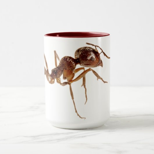 ANT MUGS (Centre)