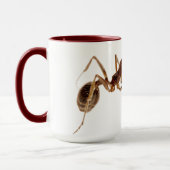 ANT MUGS (Gauche)