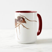 ANT MUGS (Devant droit)