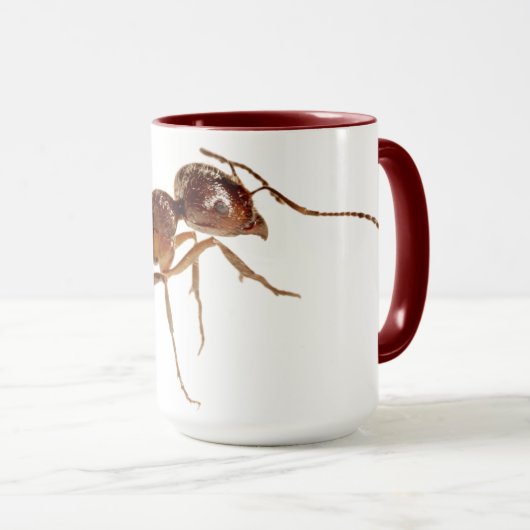 ANT MUGS (Devant droit)