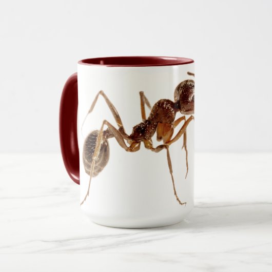 ANT MUGS (Devant gauche)