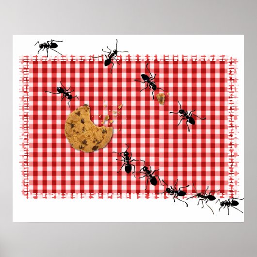 Ant Picnic Poster (Voorkant)