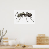 Ant Poster (Keuken)
