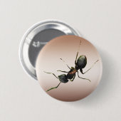 Ant Ronde Button 5,7 Cm (Voorkant /achterkant)