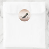 Ant Ronde Sticker (Tas)