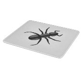 Ant Snijplank (Hoek)