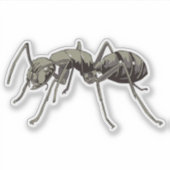 Ant Sticker (Voorkant)