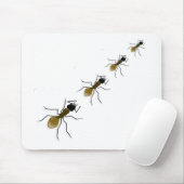 Ant Walk Muismat (Met muis)