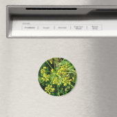 Ant, Web en Weed Magneet (Insitu (Vaatwasser))