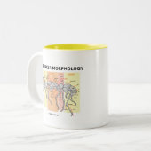 Ant Worker Morphology Tweekleurige Koffiemok (Voorkant links)