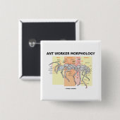 Ant Worker Morphology Vierkante Button 5,1 Cm (Voorkant /achterkant)