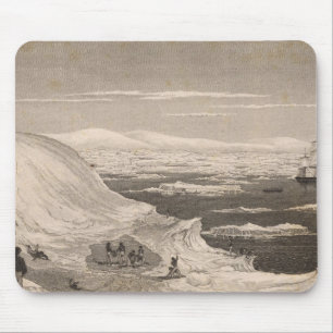 Antarctica 2 muismat