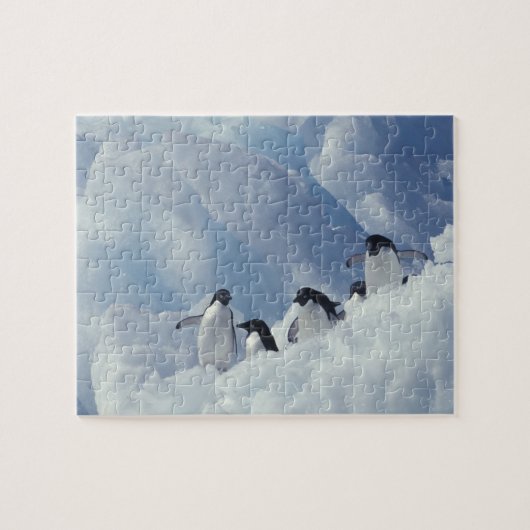 Antarctica. Adelie pinguins Legpuzzel (Horizontaal)