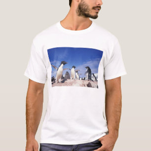 Antarctica, adeliekeizerspinguïn Pygoscelis T-shirt