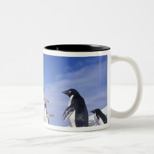 Antarctica, adeliepinguïn Pygoscelis Tweekleurige Koffiemok