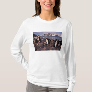 Antarctica, Adeliepinguïnkuikens T-shirt