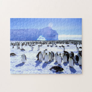 Antarctica, Antarctisch schiereiland, Weddell Zee  Legpuzzel