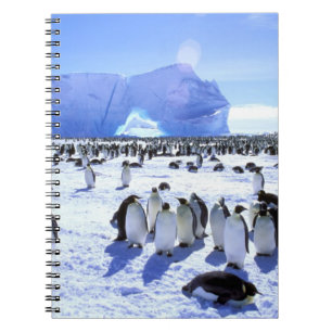 Antarctica, Antarctisch Schiereiland, Weddellzee, Notitieboek