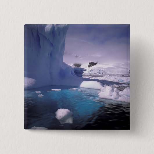 Antarctica. Antarctische ijlluizen 2 Vierkante Button 5,1 Cm (Voorkant)