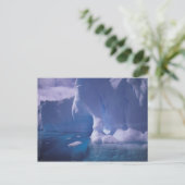 Antarctica. Antarctische ijlluizen 3 Briefkaart (Staand voorkant)