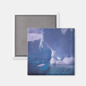 Antarctica. Antarctische ijlluizen 3 Magneet (Voorkant / Achterkant)