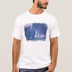 Antarctica. Antarctische ijslandschappen 3 T-shirt