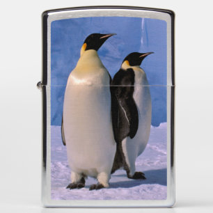 Antarctica, Australisch Antarctisch Territorium, 7