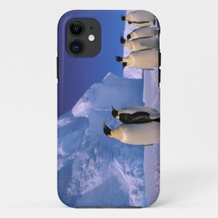 Antarctica, Australisch Antarctisch Territorium, 7 iPhone 11 Hoesje