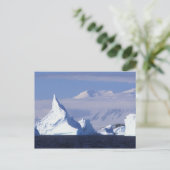 Antarctica, Boothe Island, Aftermiddagzon Briefkaart (Staand voorkant)