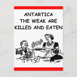 antarctica briefkaart