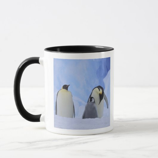 Antarctica. Emperor penguins & chick Mok (Links)