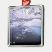 Antarctica. Expedition through icescape Metalen Ornament (Links)