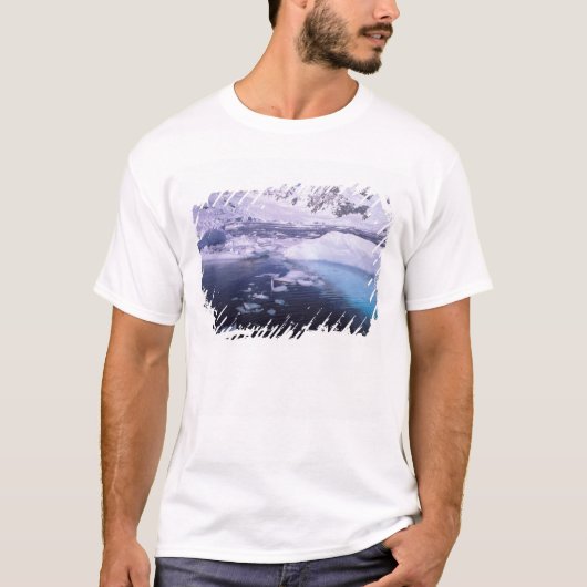 Antarctica. Expedition through icescape T-shirt (Voorkant)