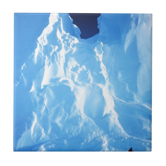 Antarctica Ice Tegeltje (Voorkant)