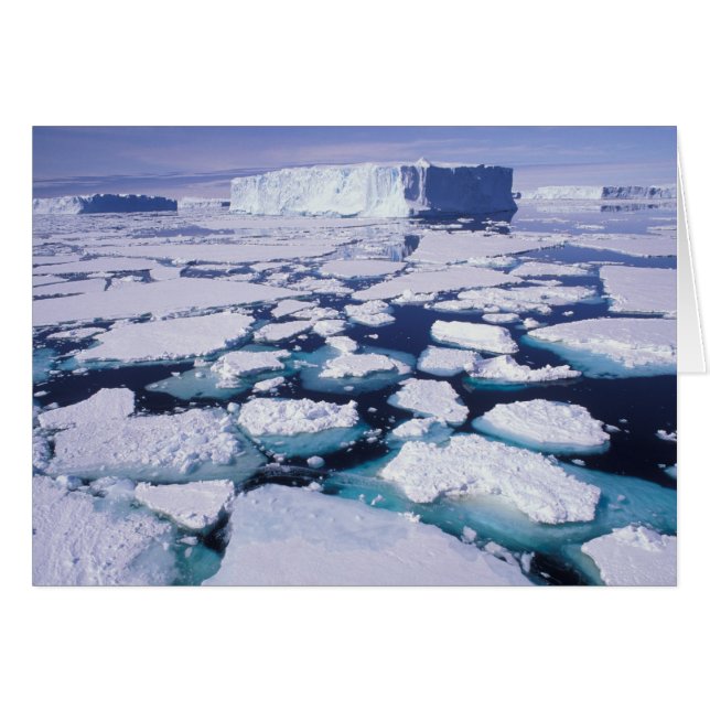 Antarctica, Ijsstroming. (Voorkant Horizontaal)