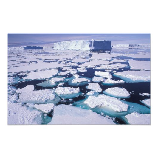 Antarctica, Ijsstroming. Foto Afdruk (Voorkant)