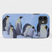 Antarctica, Keizerspinguïns Case-Mate iPhone Case (Achterkant (horizontaal))