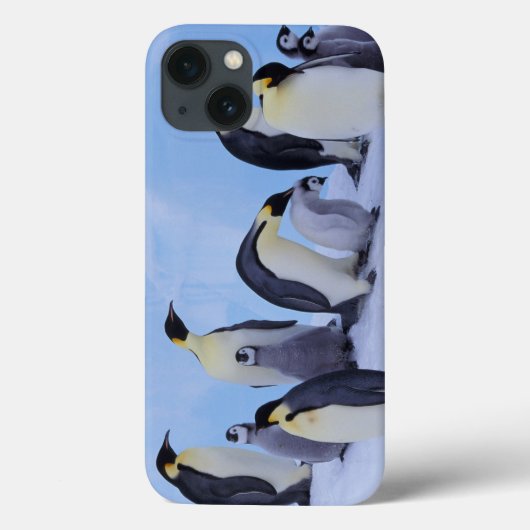 Antarctica, keizerspinguïns Case-Mate iPhone case (Achterkant)
